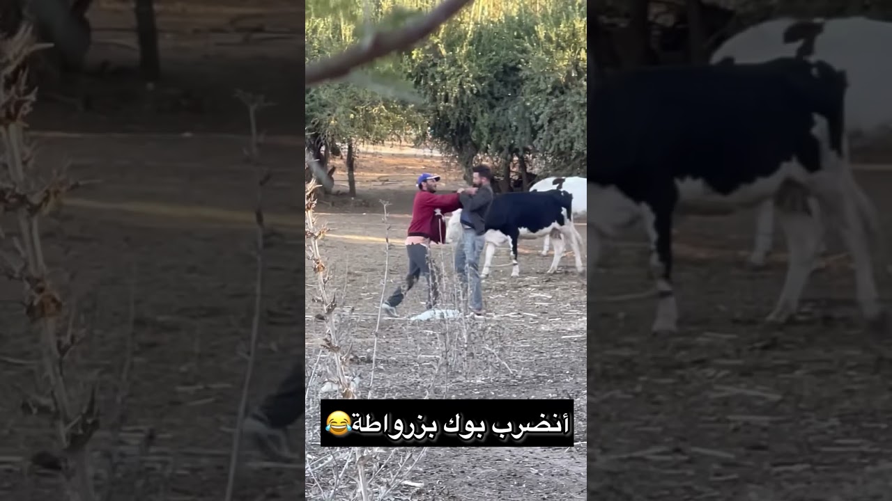 مقلب فراعي الغنم😂