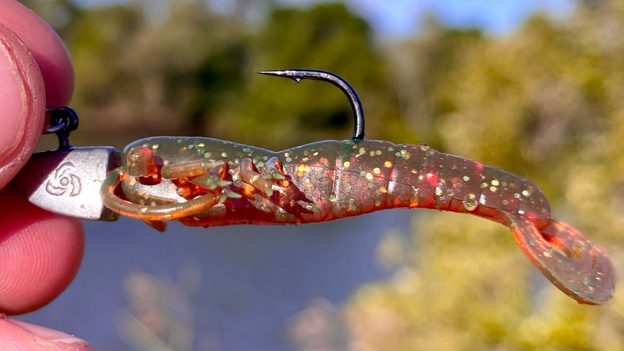 Lure Fishing The Gold Coast! How To Use Lures | Atomic Prong 2'