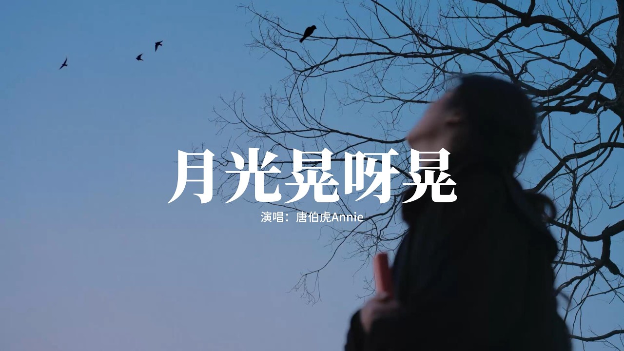 唐伯虎Annie - 月光晃呀晃『人生它荒啊唐，總要等失去才知道重量，歲月它慌啊忙，錯過身的人再也追不上。』【動態歌詞MV】