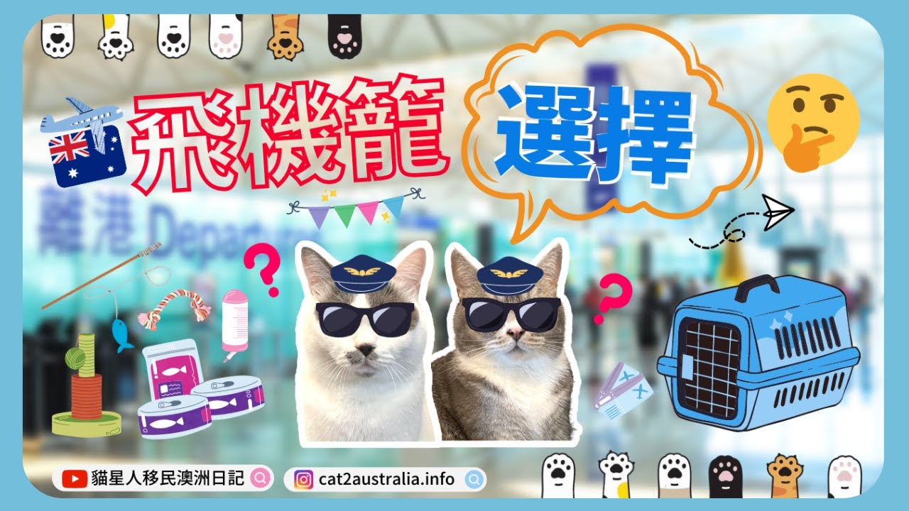 如何選購一個合規格的寵物飛機籠⁉️香港vs淘寶買質素又得唔得呢?🧐寵物搭飛機前有乜嘢注意事項⚠️ 貓星人澳洲移民日記