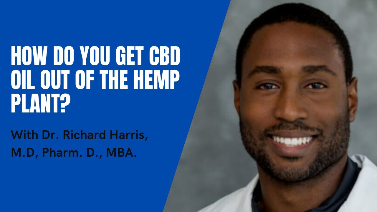 How do you get CBD oil out of the hemp plant?