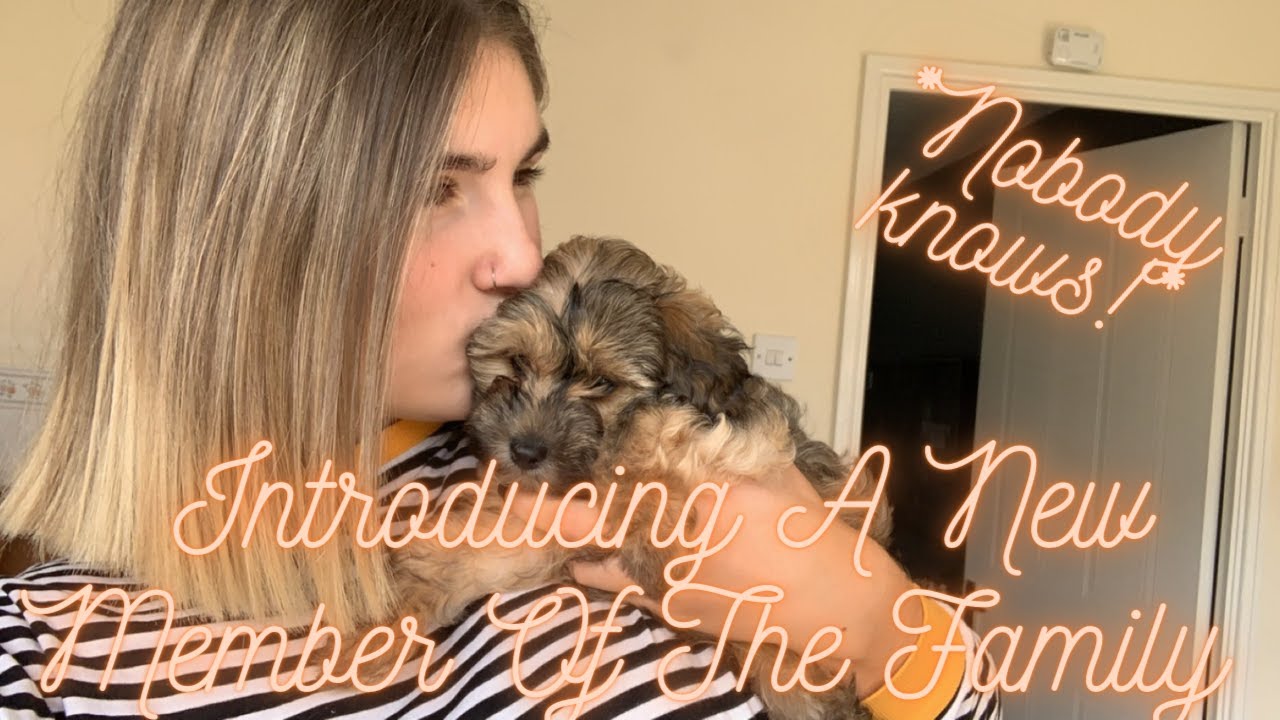 Introducing Our New Member Of The Family | Weekend Vlog
