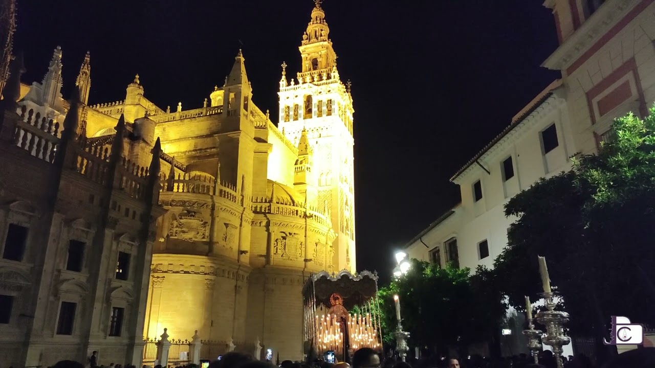 Hermandad de los Estudiantes por la Plaza del Triunfo Sevilla 2023