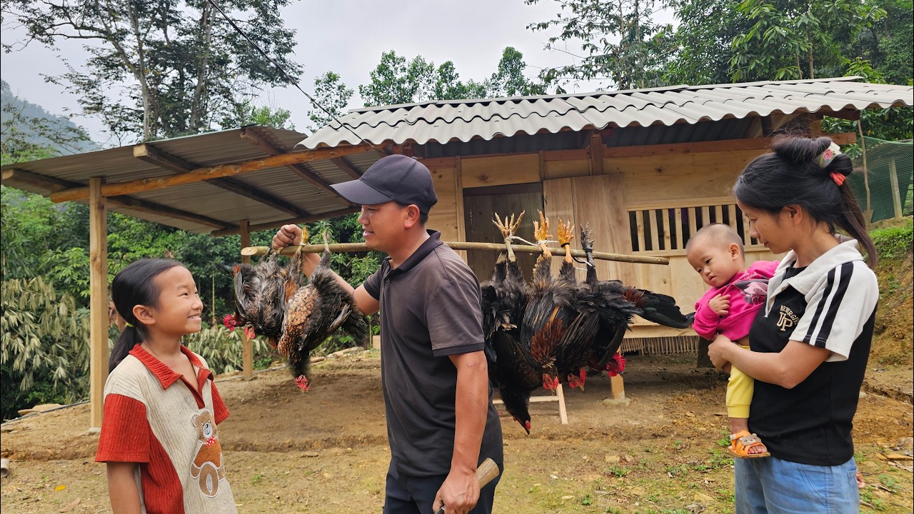 Dad went into the forest to catch wild chickens, and mom made house brushes