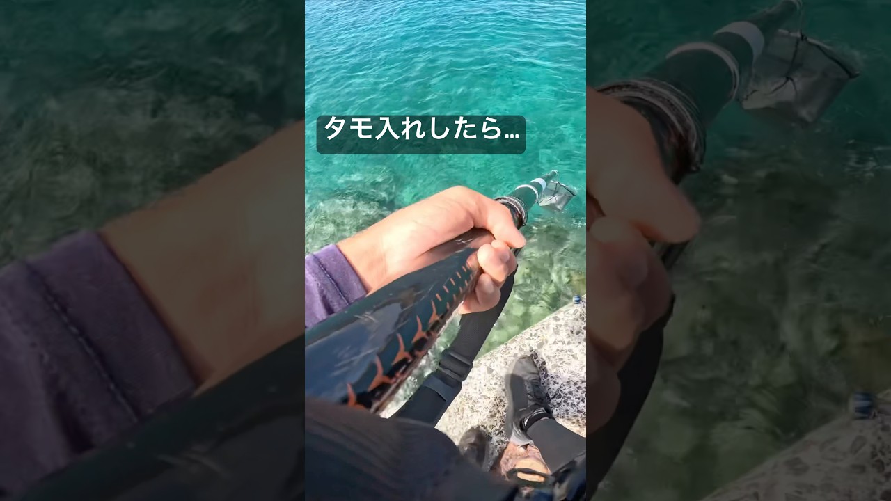魚をタモ入れしたらまさかの&hellip;#釣り #ハプニング