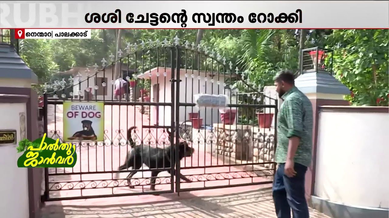 നായയല്ല, പുലിയെ ഓടിച്ച 'പുലി'!! വിത്തിനശേരിയെ അമ്പരപ്പിച്ച ഈ നായ ചില്ലറക്കാരനല്ല