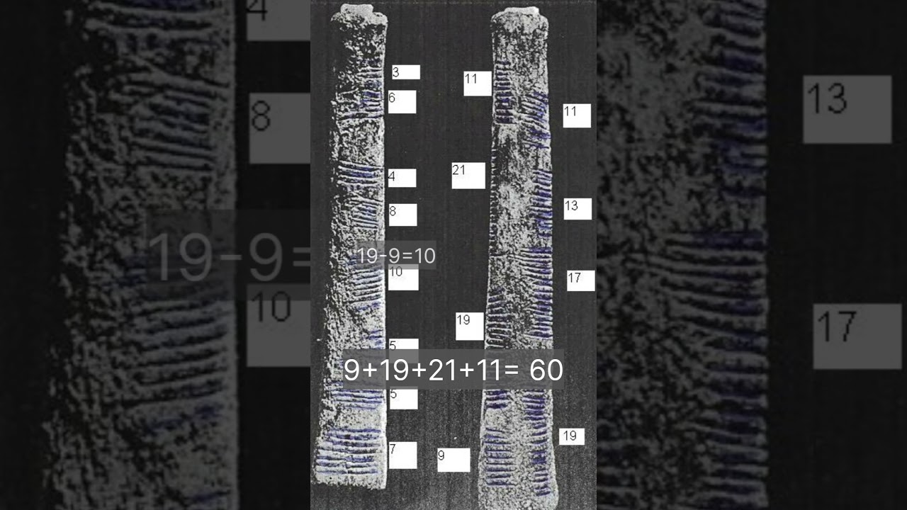 The Ishango Bone ।One of the oldest Mathematical Tool #historyofmathematics #Ishangobone