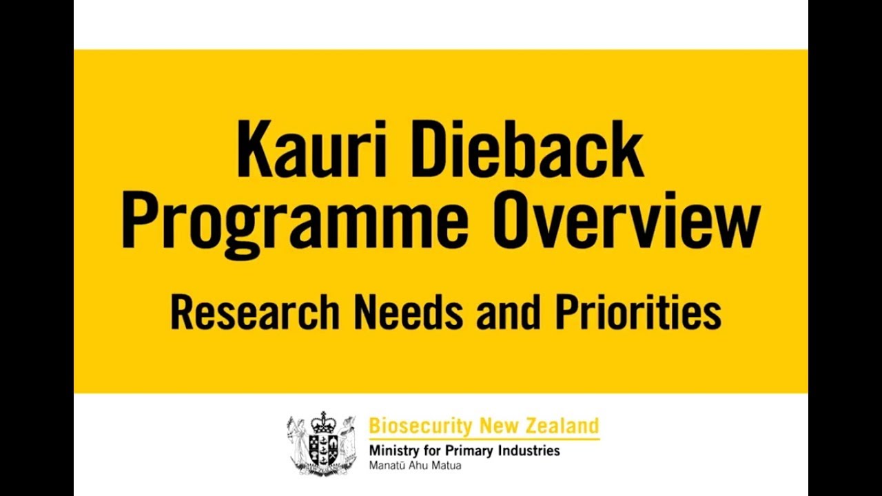 Kauri Dieback Programme Overview: Research Needs and Priorities