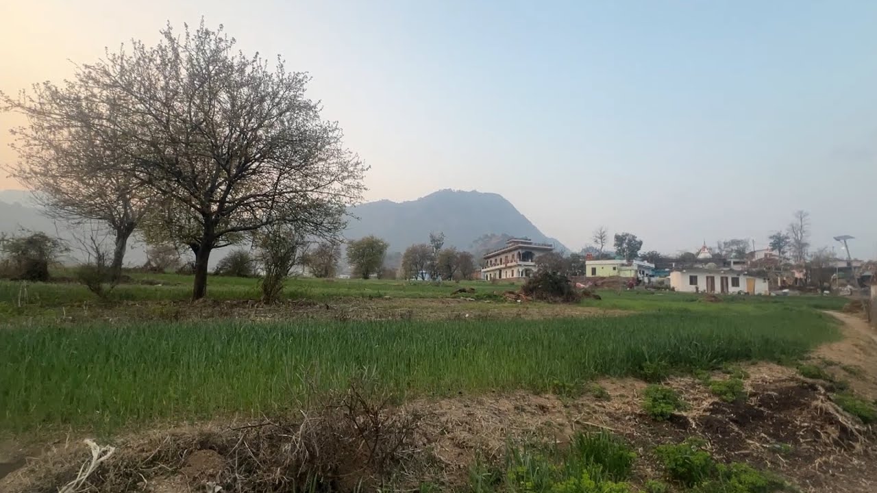 Mama ke ghar = bachpan ki yaadein 🥰