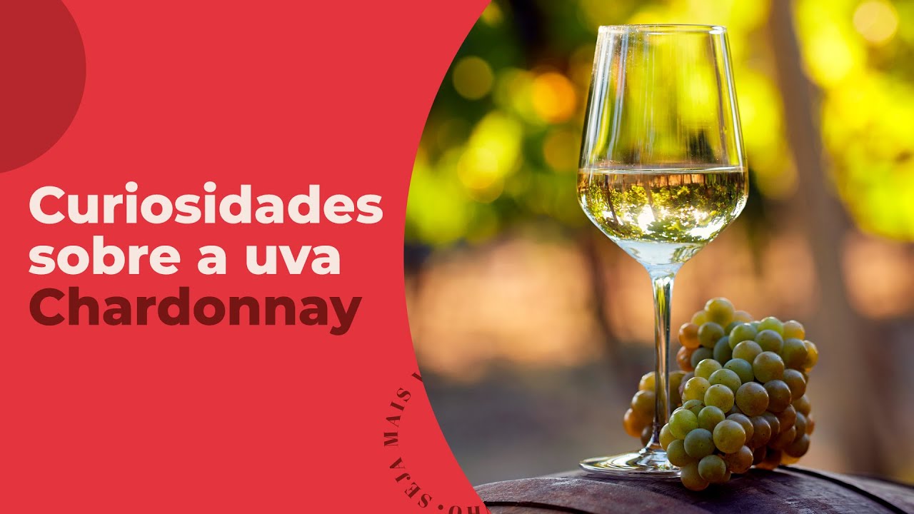 Tudo que você sempre quis saber sobre a Uva Chardonnay - Curiosidades e Harmonizações