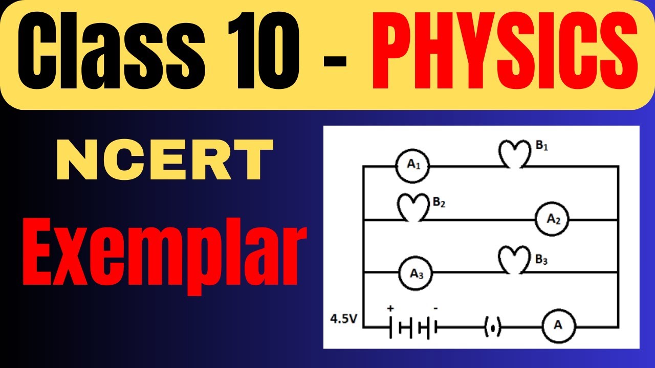 NCERT Exemplar Bulb Questions | Electricity Class 10 Physics | Board Exam 2026 🔥