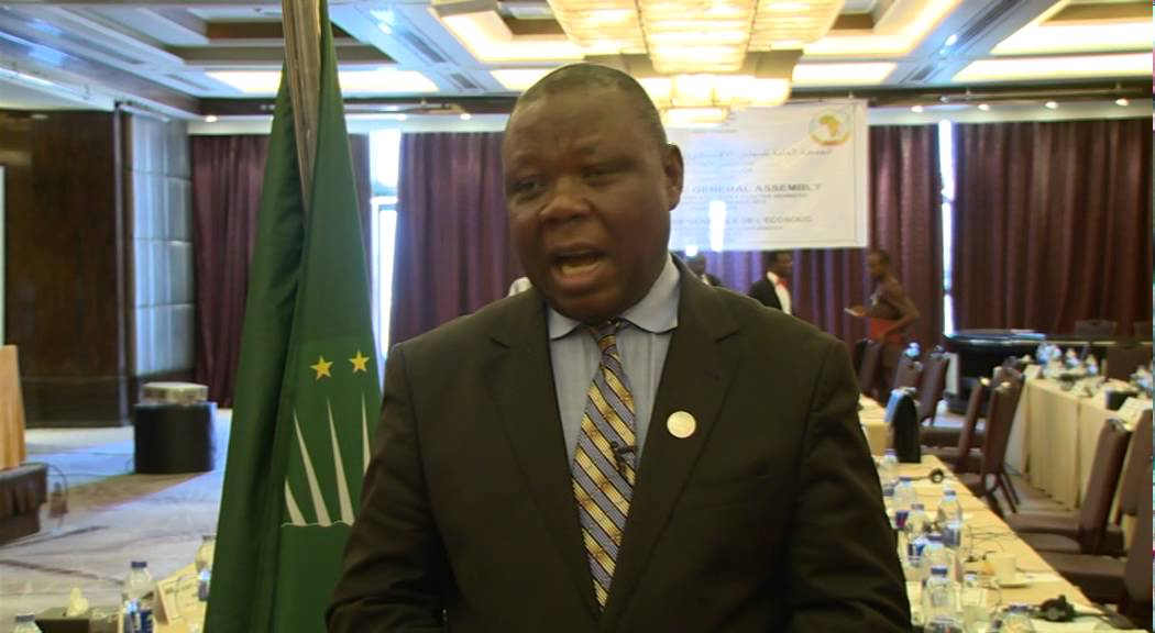 Interview with Mr. Joseph Chilengi, AU ECOSOCC Presiding Officer