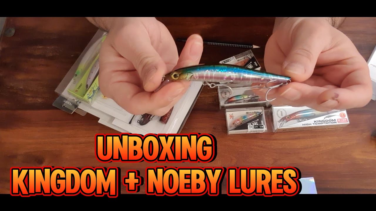 AliExpress order with Noeby Suspending Minnow + Vibration Jig head and Kingdom Jerk baits Lures
