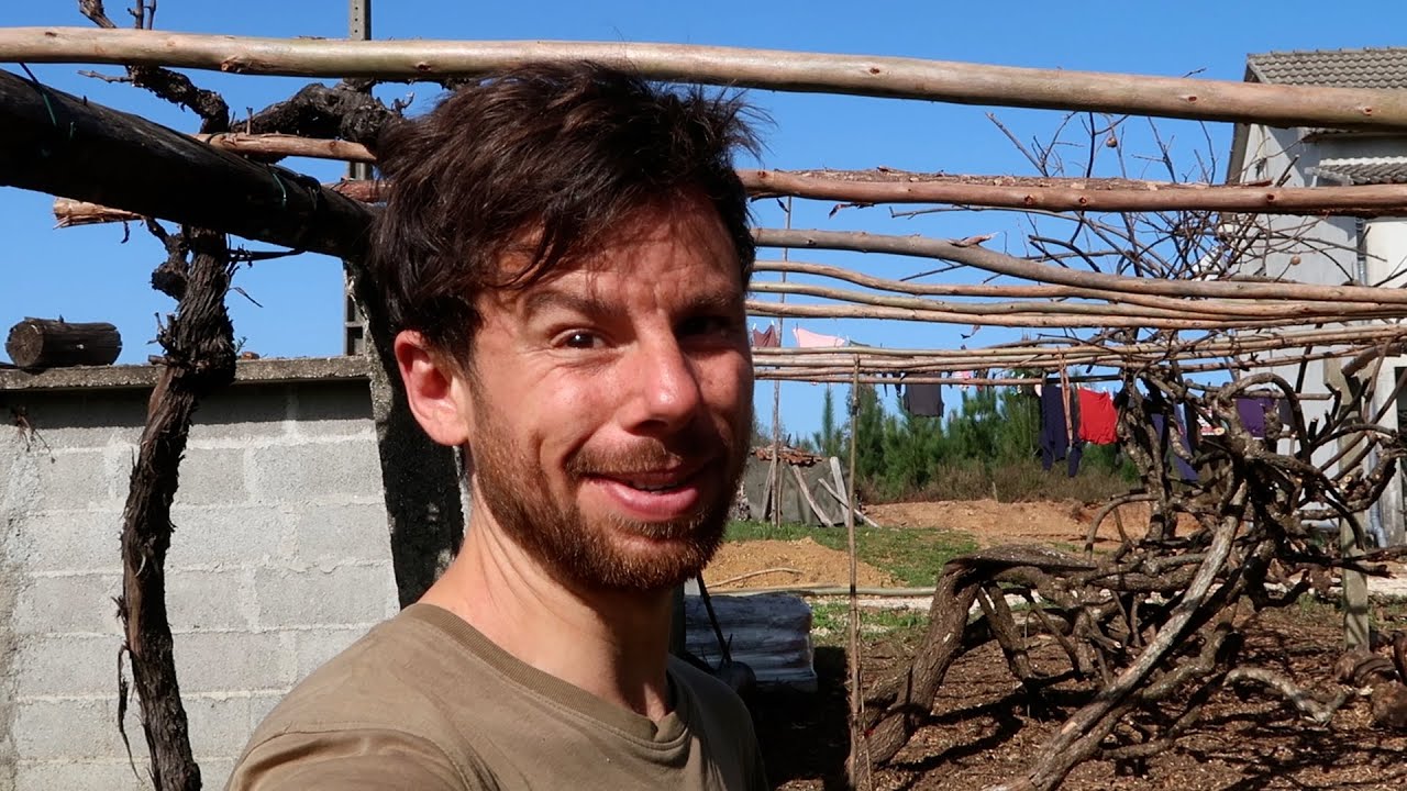 Kiwi Rescue Mission: Extreme Pruning & DIY Trellis Build