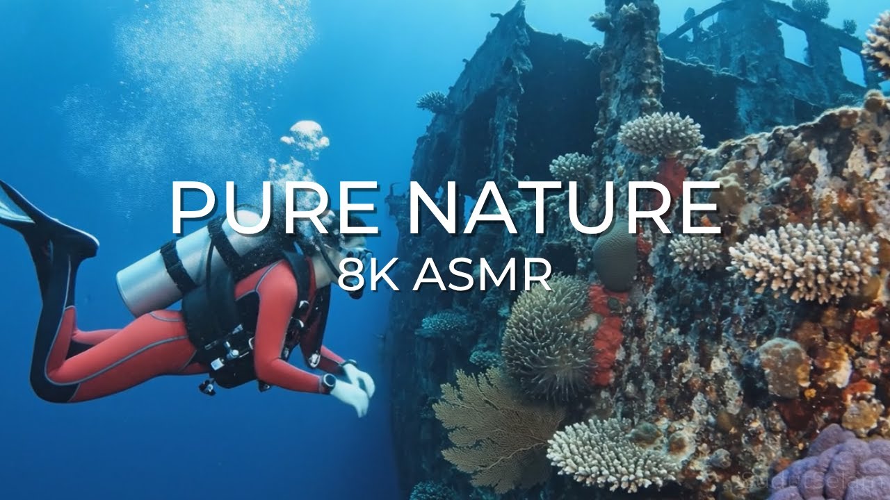 Mystery of the Deep | Shipwreck Exploration 8 K ASMR