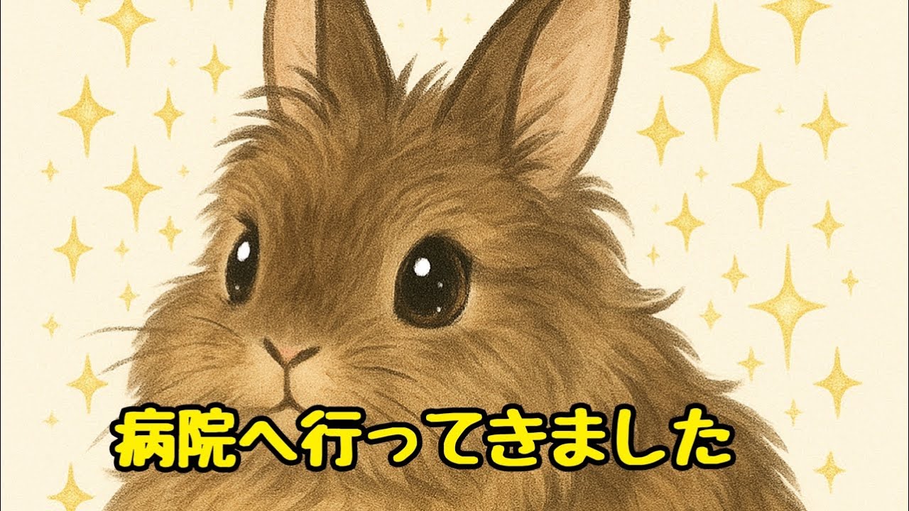 待ちに待った病院の予約日【診察の結果】