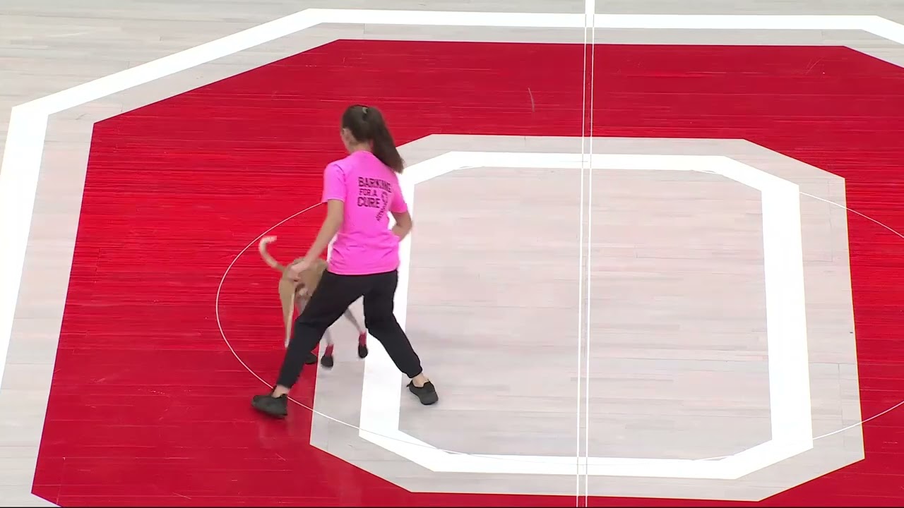 The Ohio State University Women's Basketball Halftime Show with Performance Dogs of Ohio - 2/15/26