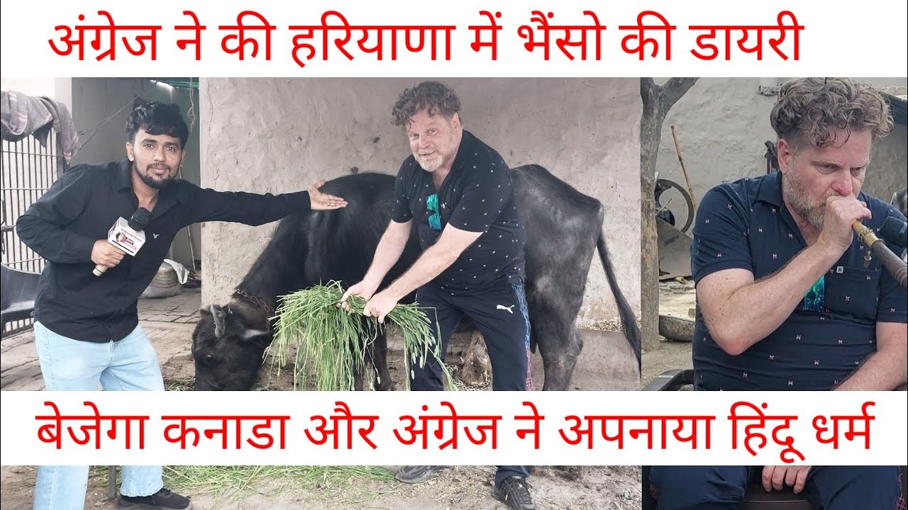 कनाडा के अंग्रेज ने हरियाणा में की भैंसों की डायरी | और अपनाया हिंदू धर्म | Swag Media|