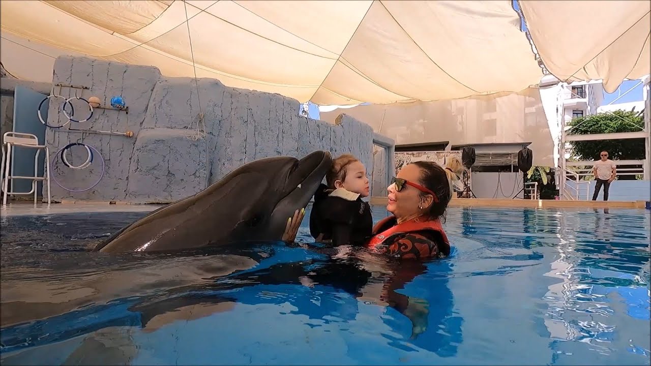 Dolphin Therapy Land ( Michelle )