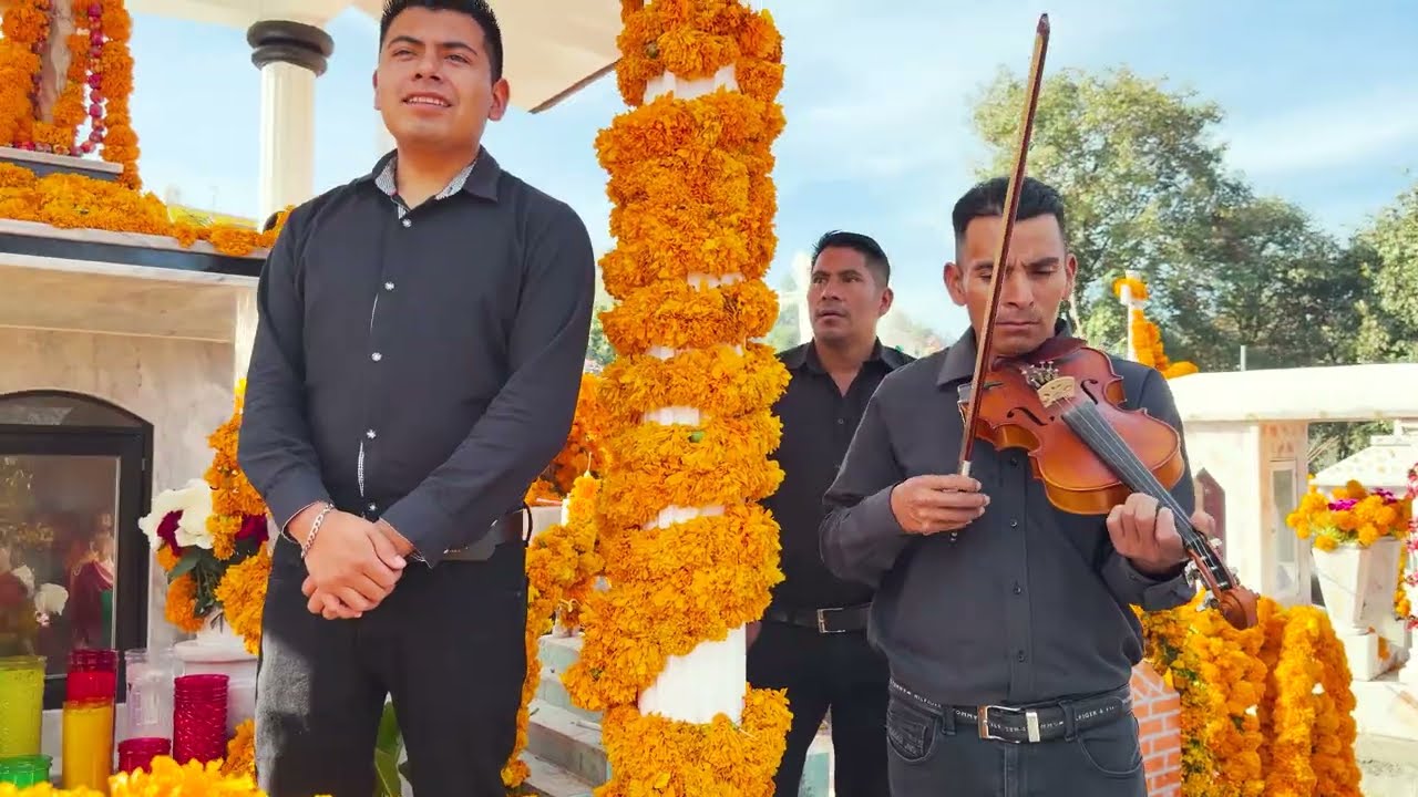 RAYO MUSICAL 