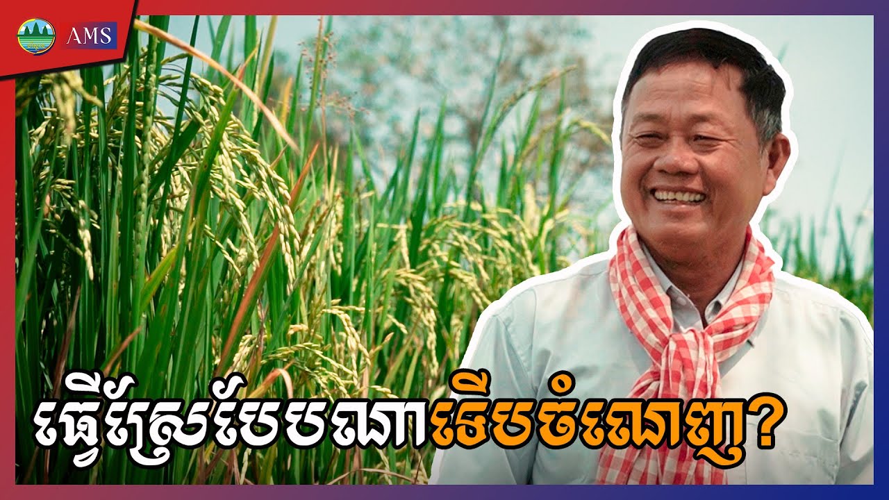 ES 8: ធ្វើស្រែបែបណាឲ្យចំណេញ?