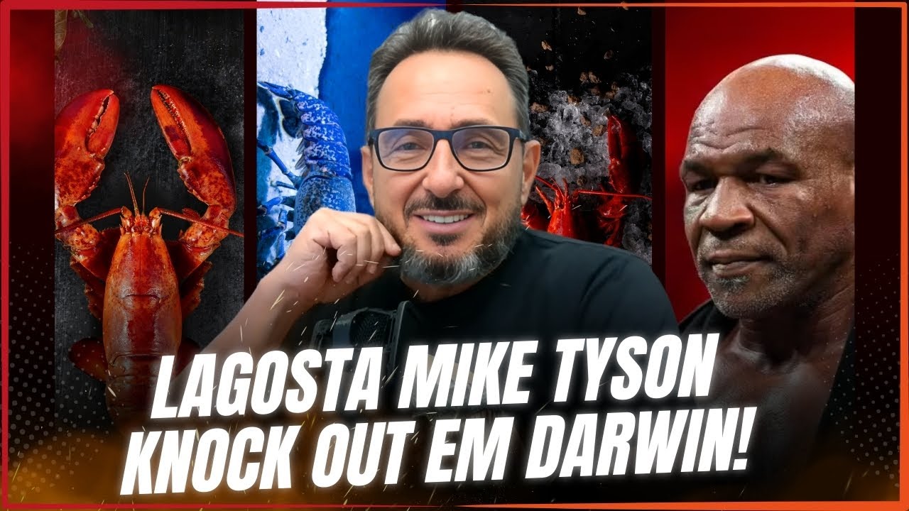 LAGOSTA MIKE TYSON & CIA. KNOCK OUT EM DARWIN!