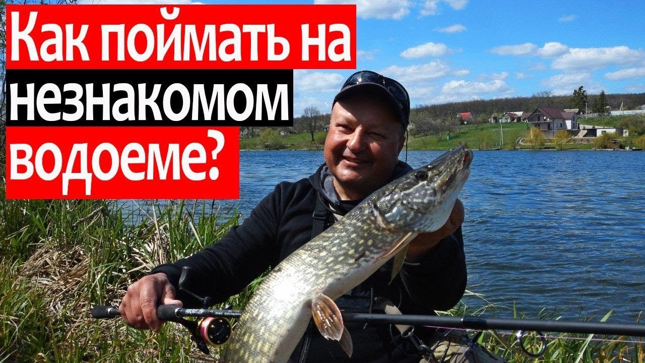 Как поймать на незнакомом водоеме? Сбор информации, выбор приманок и точек. Поиск рыбы