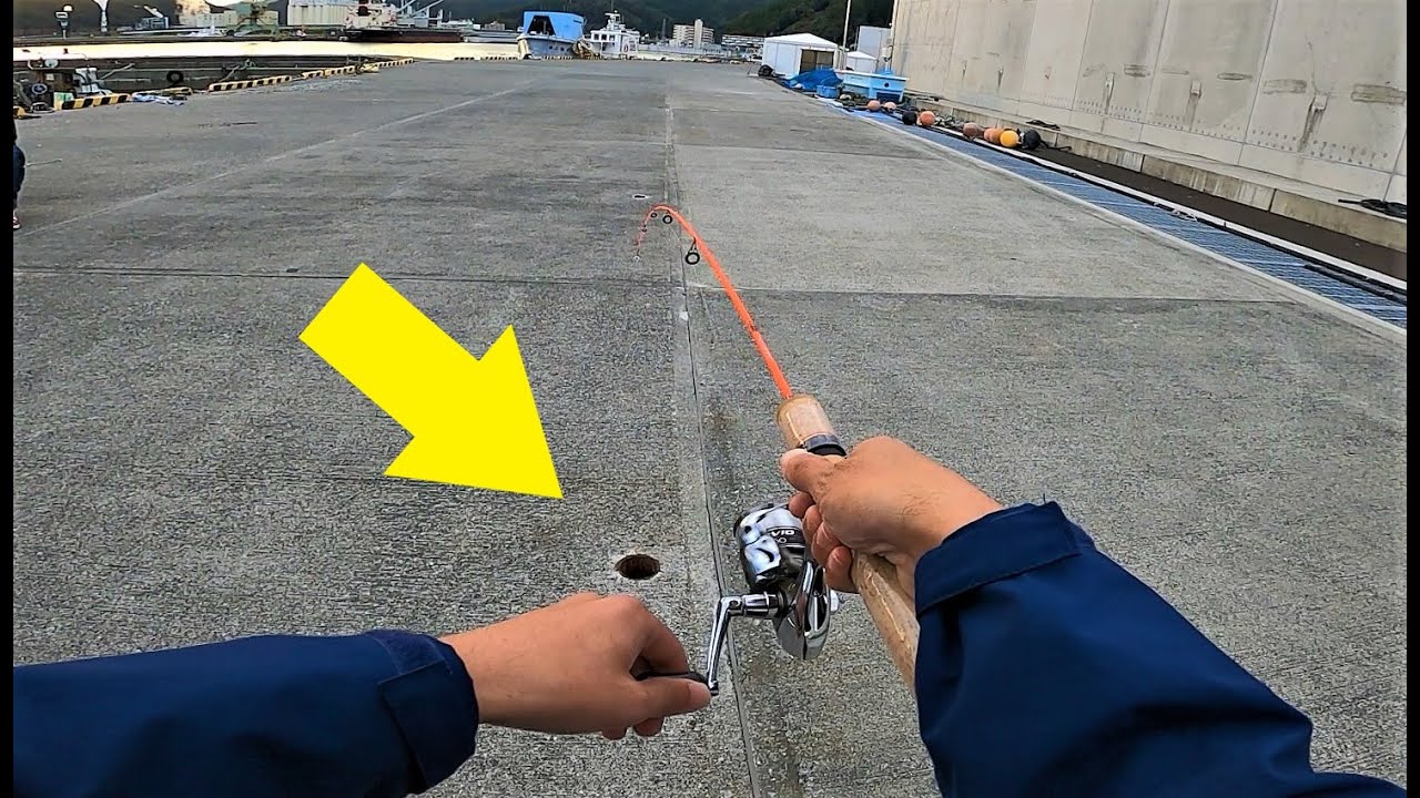 【穴釣り】この穴から魚が釣れるらしい🎣