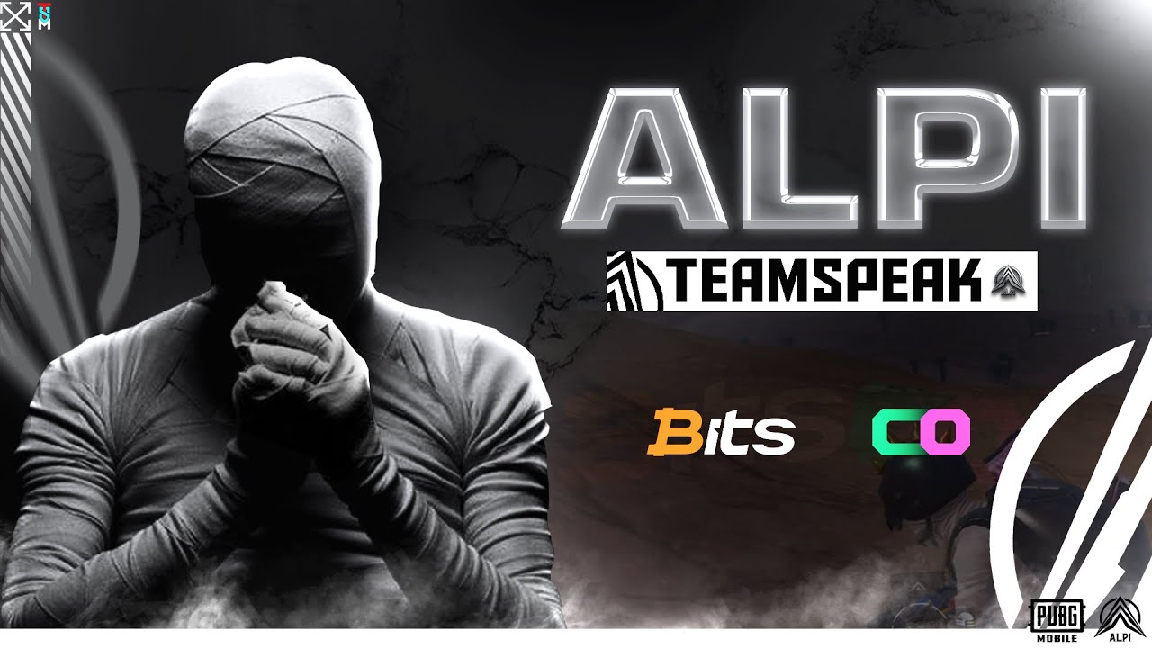 TEAM ALPI TEAMSPEAK  | | 19 KILL WWCD  | |  MAP MIRAMAR ...