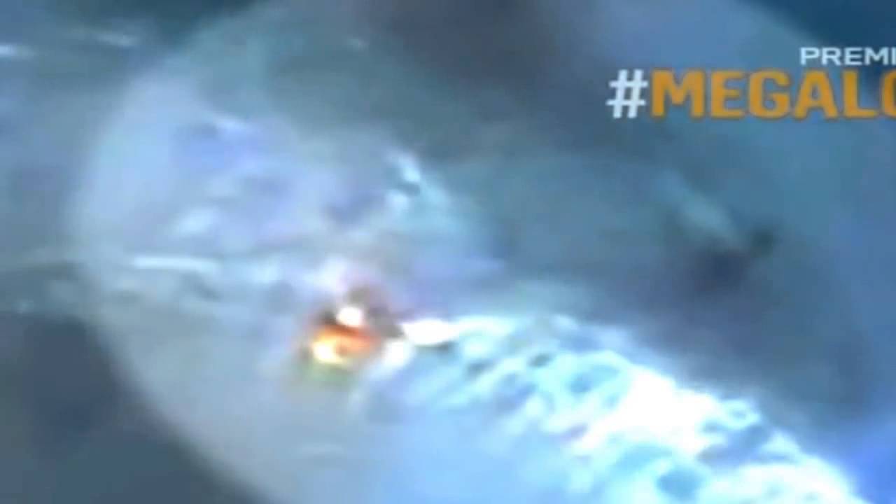 Megalodon Shark Caught on Tape - Coast Guard Footage