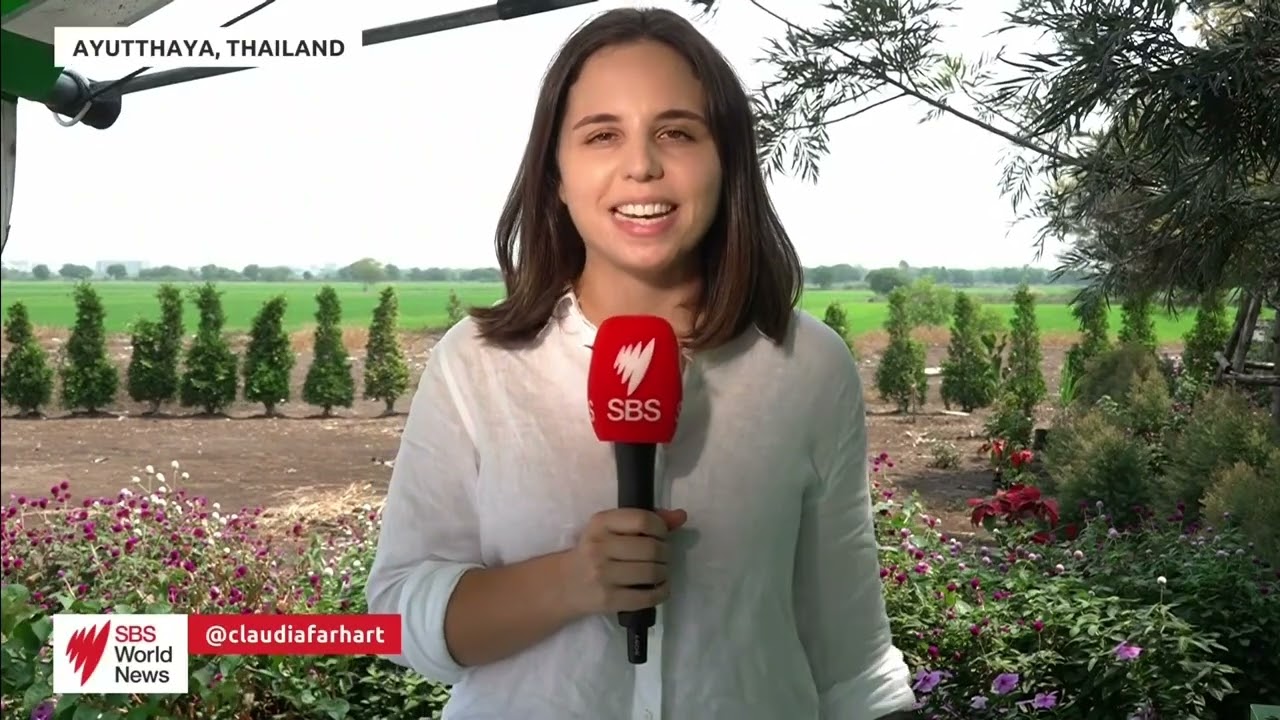 Thailand's conservatives triumph in an unexpected election landslide