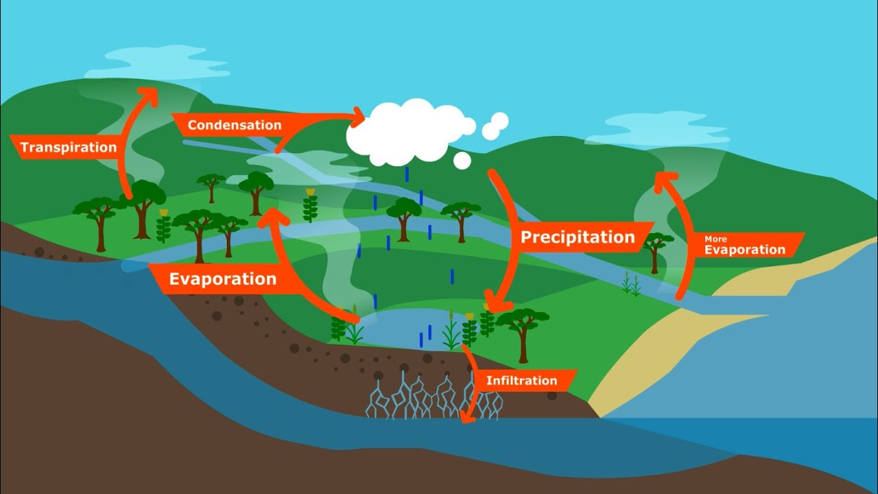 Изменение климата: водная парадигма