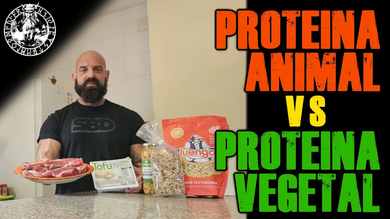 PROTEINA ANIMAL VS PROTEINA VEGETAL