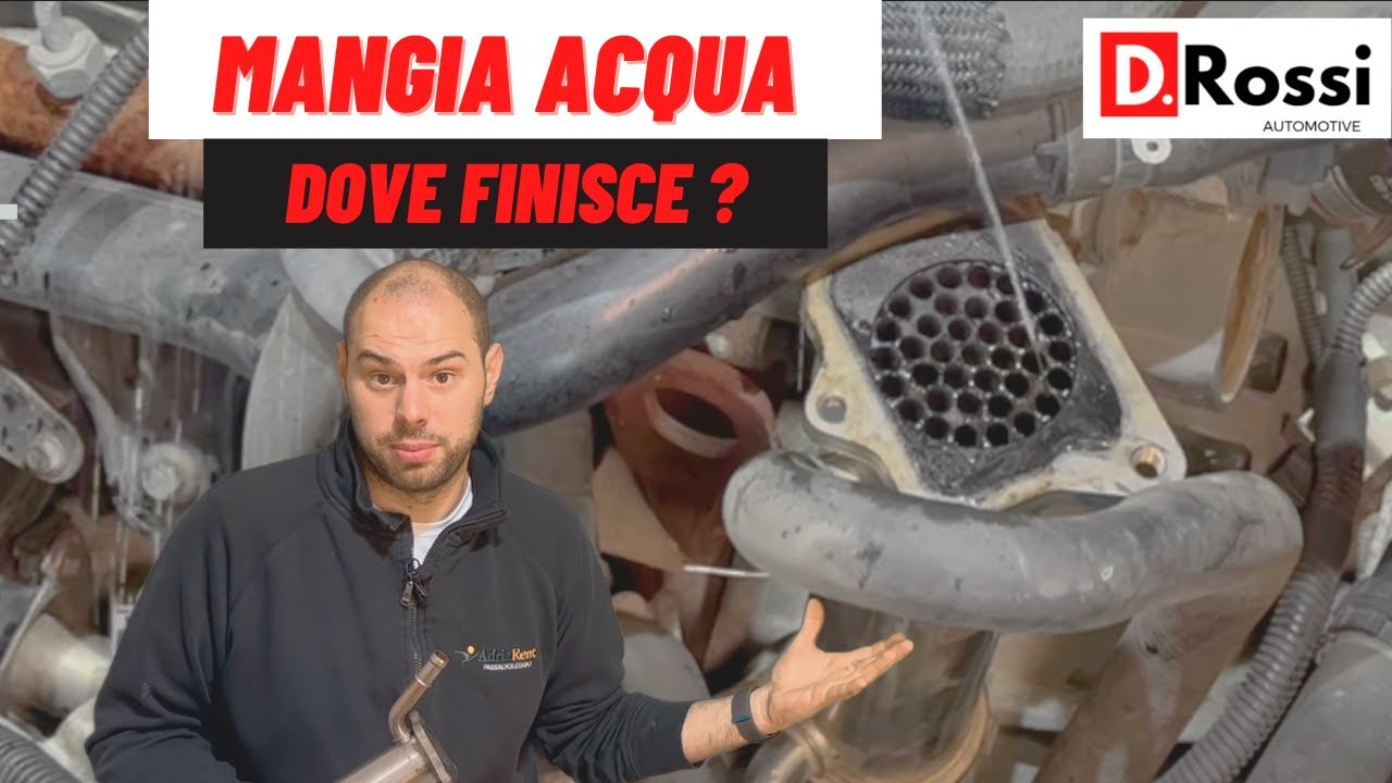 MANGIA ACQUA DEL RADIATORE ? COLPA DELLA GUARNIZIONE DI TESTA ?