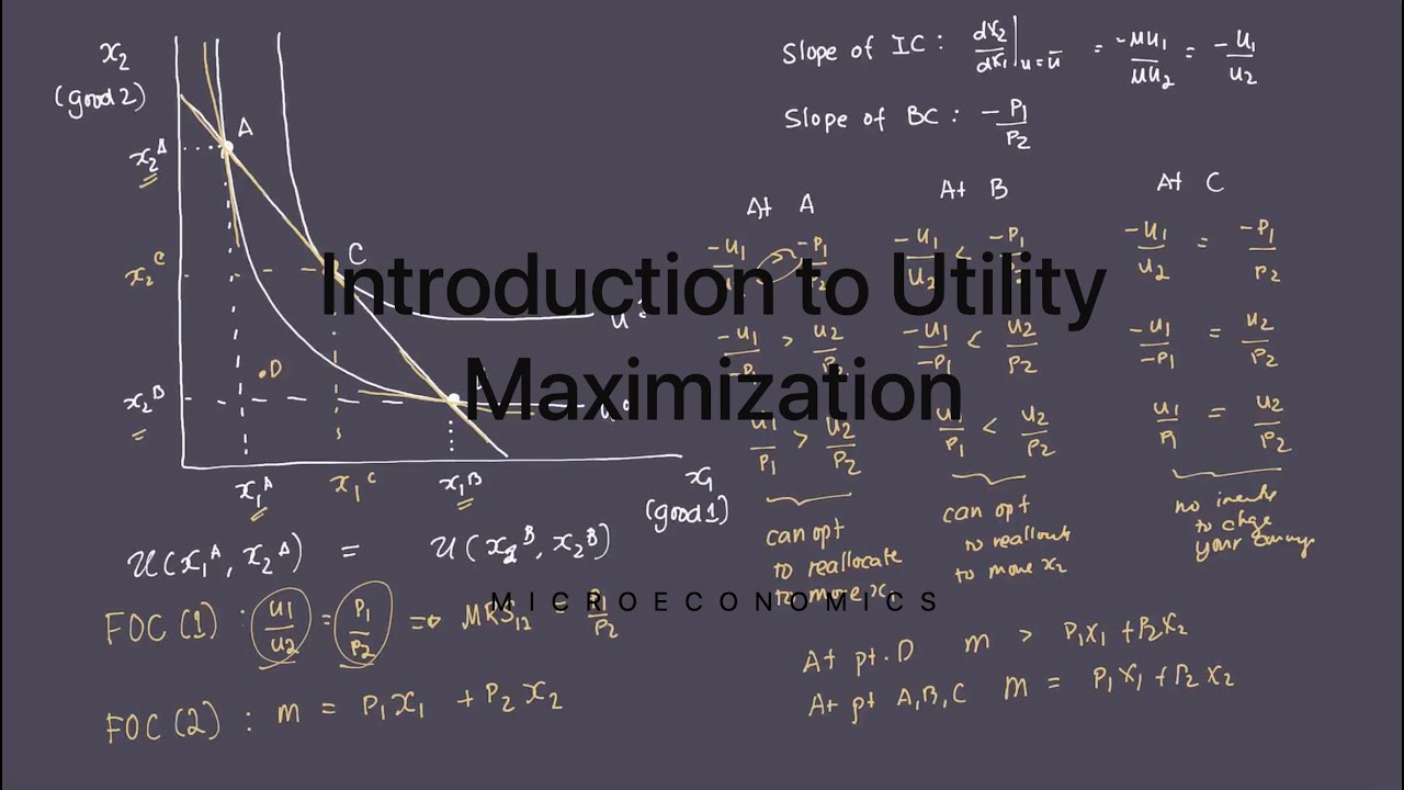 Introduction to the  Utility Maximization Process