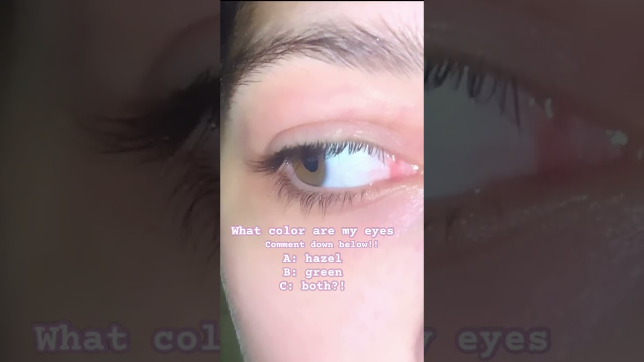 #equestrian #like #horsejumping #fyp #comment #eyes #eyelashes #eyecolor #subscribe #horse