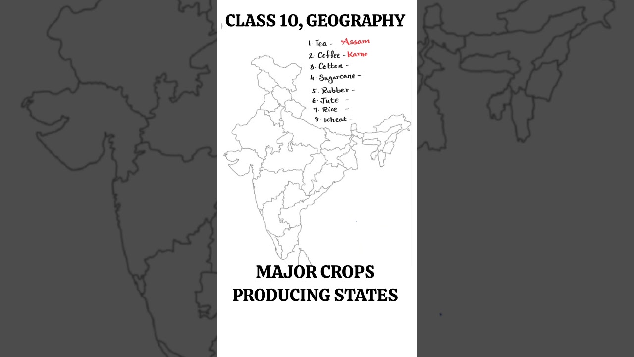 Major Crops Producing States of India - CBSE: Class 10, Geography Map #fhlmaps