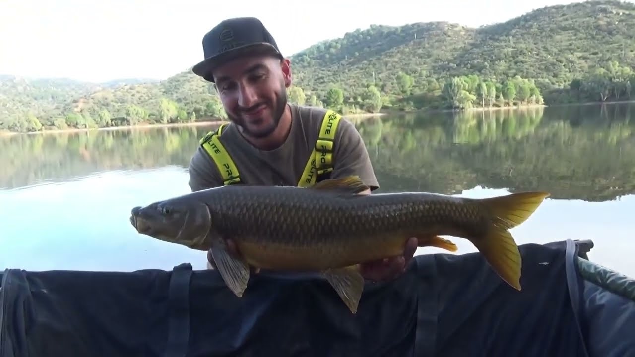 CARPFISHING DIA DE PESCA Y NOVEDADES DE PROELITEBAITS 2025