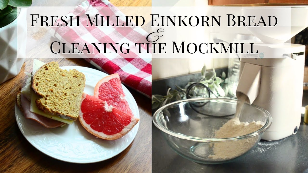 Fresh Milled Einkorn Flour | Whole Wheat Einkorn Sourdough Sandwich Bread | Cleaning a Mockmill 100
