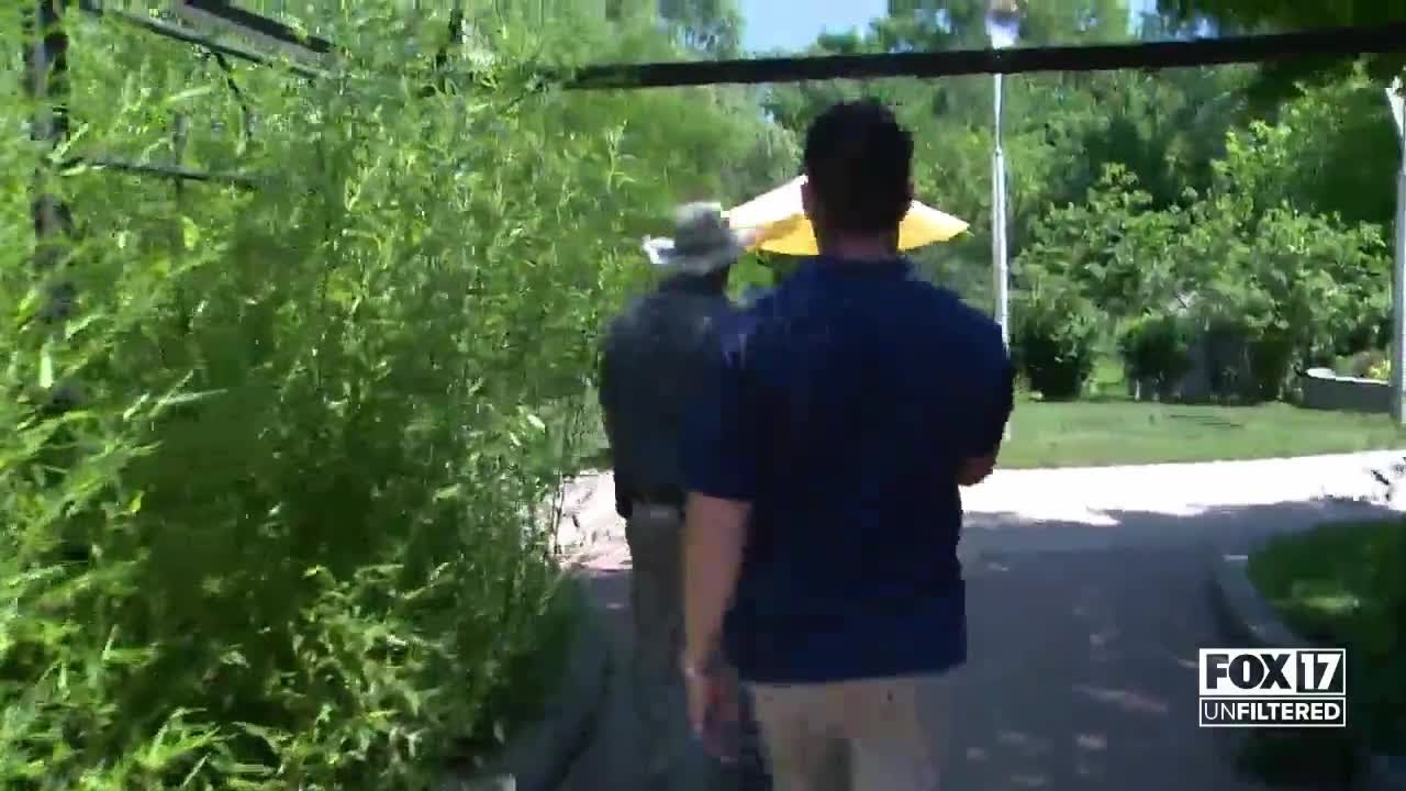 Taking a tour of the Frederik Meijer Gardens & Sculpture Park