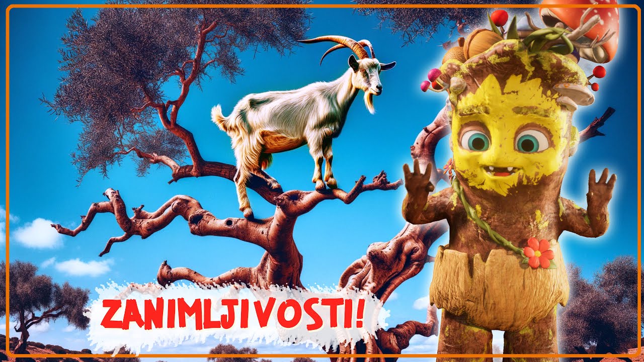 #43 ČUDESNE Zanimljivosti o prirodi | Šumsko Znanje