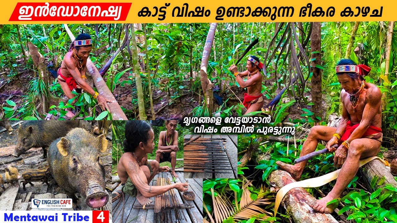 EP15 - ഗോത്ര വർഗക്കാരുടെ ഭക്ഷണവും ജീവിതവും | Mentawai Tribe