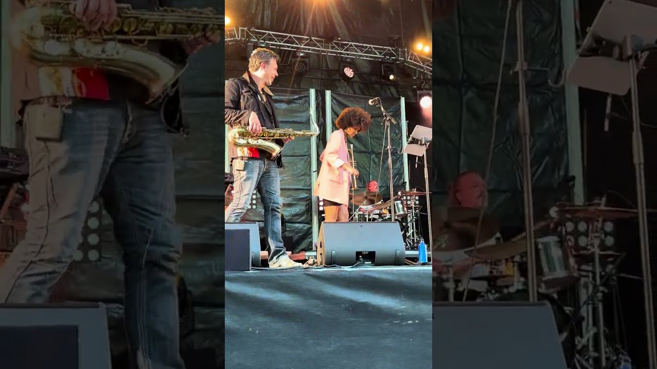 Unforgettable Night with Brooklyn Funk Essentials at Cabaret Frapp&eacute;  #music #festival #funk 12