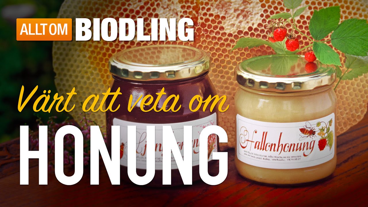 V&auml;rt att veta om honung