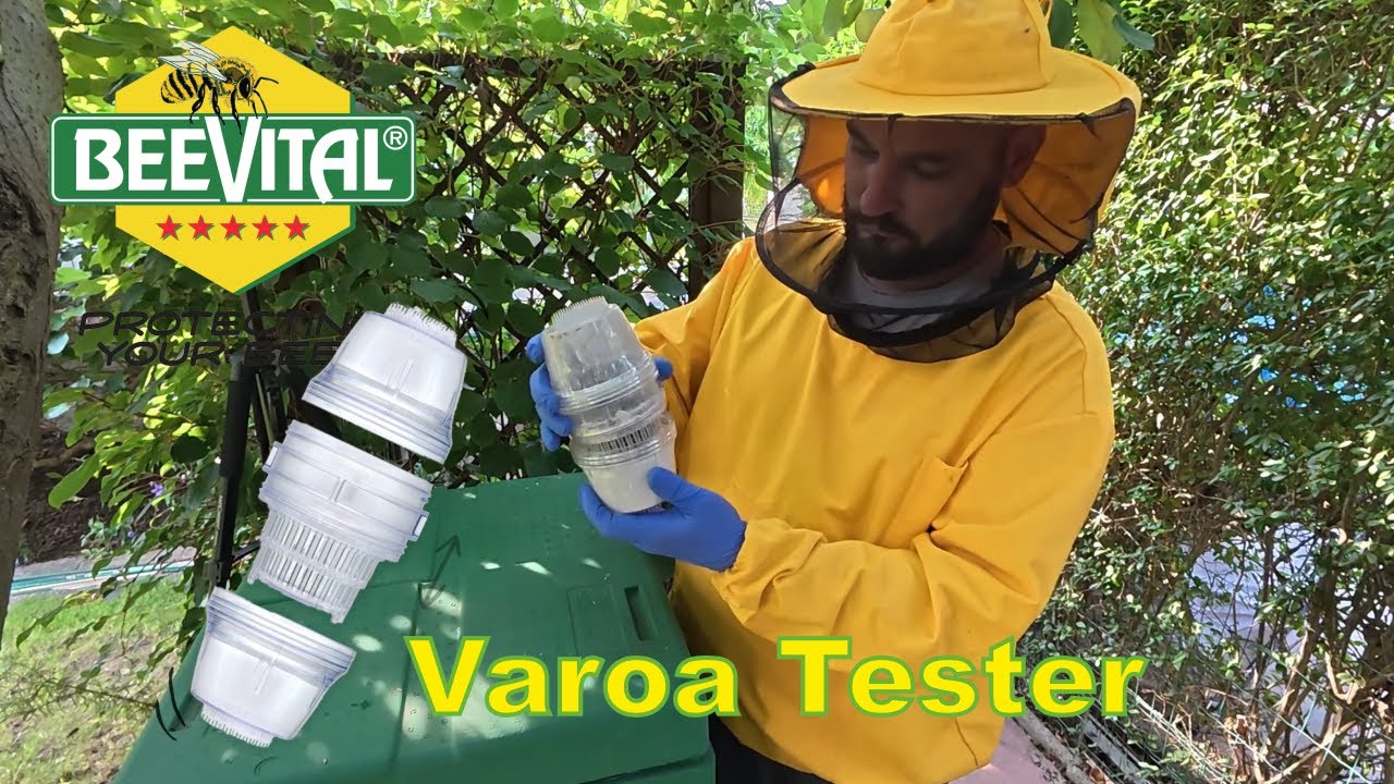 VaroaTester BeeVital – Tri metode testiranja varoe + saveti za tačne rezultate