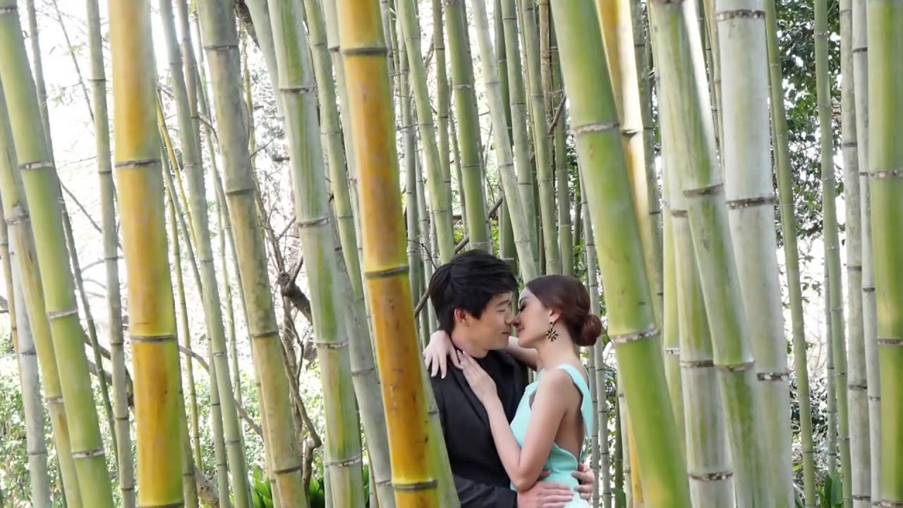 Japan Pre Wedding