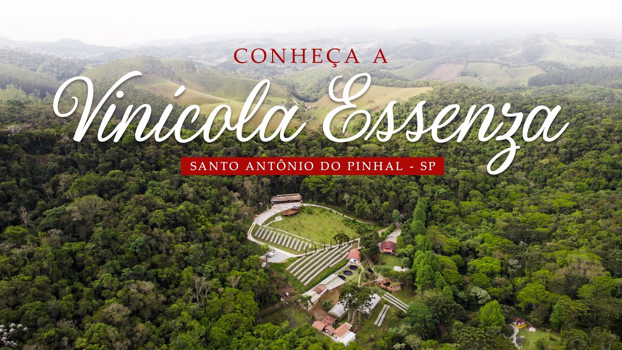Bem vindos a Vinícola Essenza