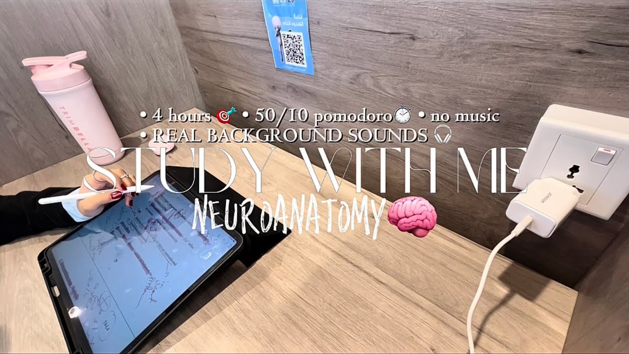 Study with me 4 hours at the public library 📚🧠 | 50/10 pomodoro - real background sounds