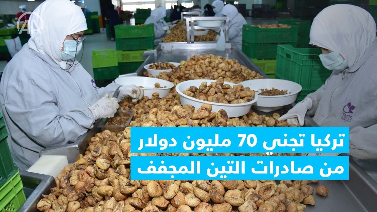 تركيا تجني 70 مليون دولار من صادرات التين المجفف