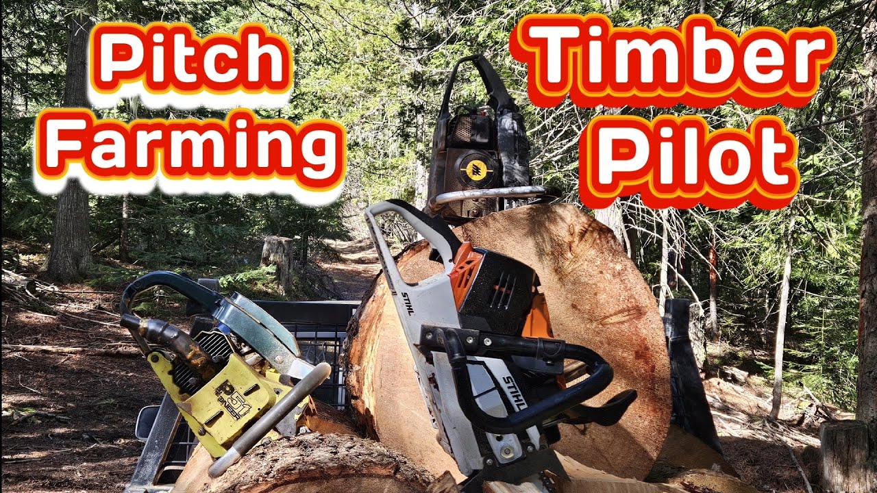 Casterman Timber Pilot axe splitting Firewood. #teamwork #friends #firewood #chainsawman